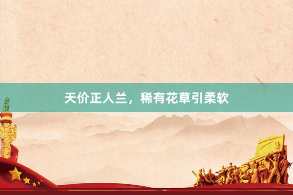 天价正人兰,稀有花草引柔软
