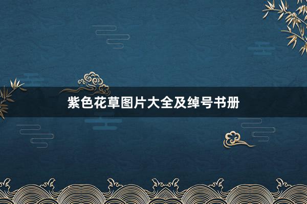 紫色花草图片大全及绰号书册