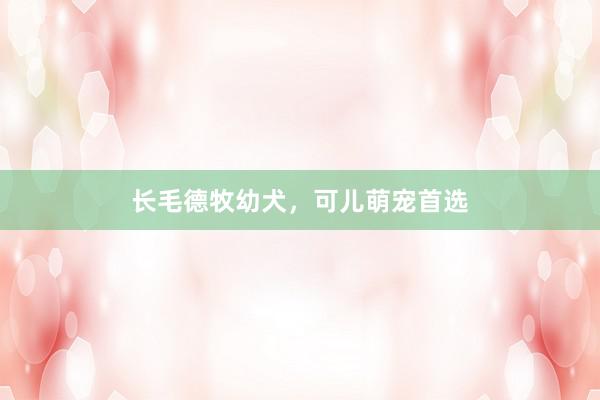 长毛德牧幼犬，可儿萌宠首选